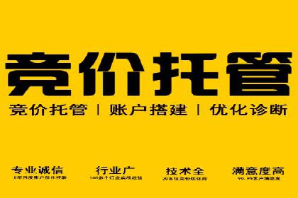 行业领先的SEM推广代运营公司案例集锦